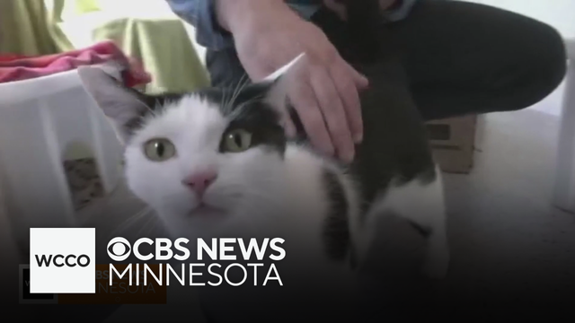 Forget Me Not provides end-of-life care for your furry friends