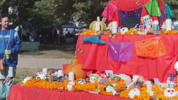 dia-de-los-muertos-lmp-raw-new-05-frame-260.jpg