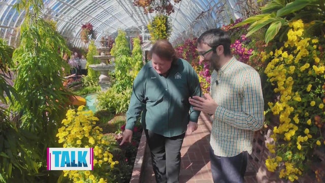 Boaz visits Phipps