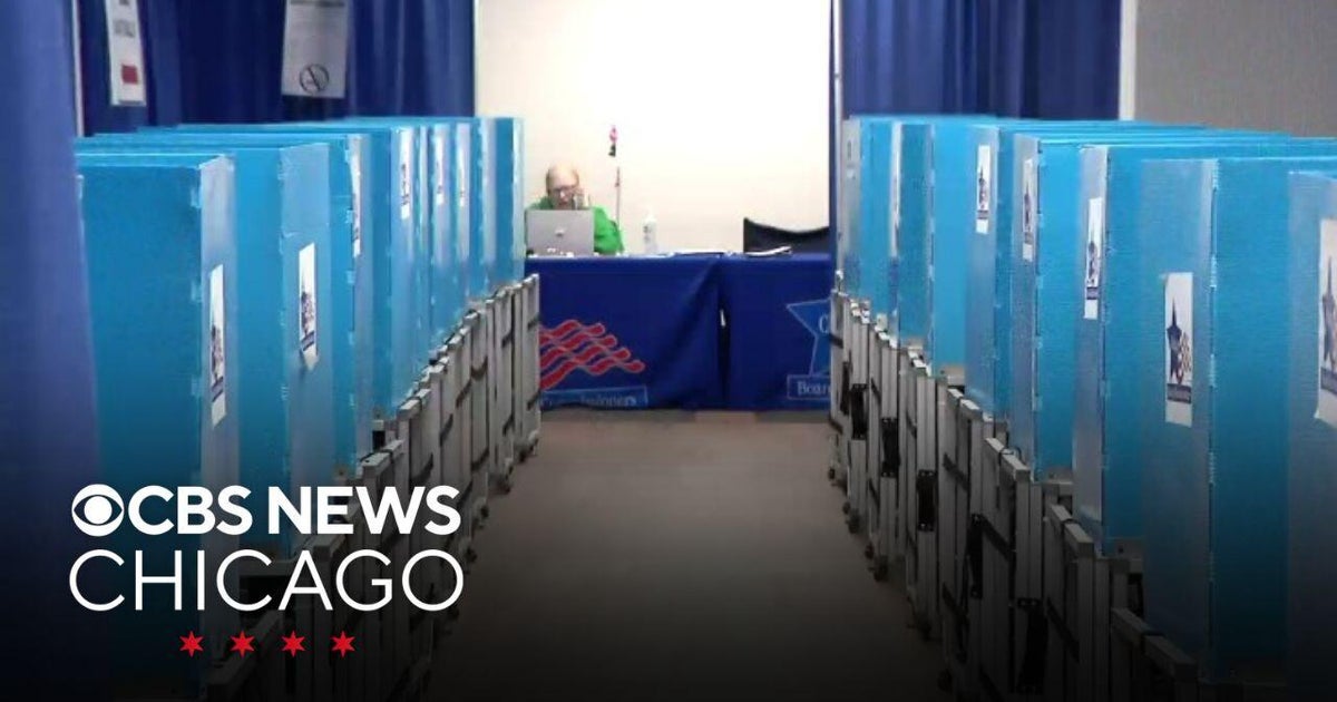 What are some of the referenda Illinois voters will see on their ...