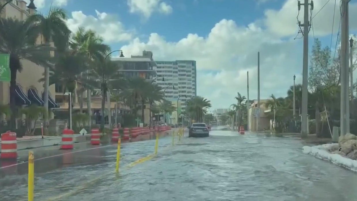 King tide flooding in South Florida has businesses, residents preparing ...