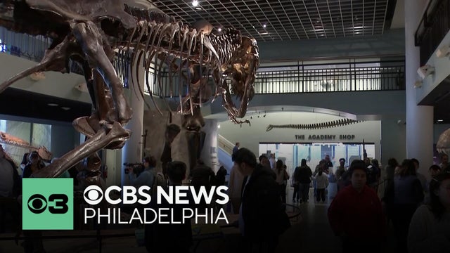 Philadelphia City Council investigating why Academy of Natural Sciences closed