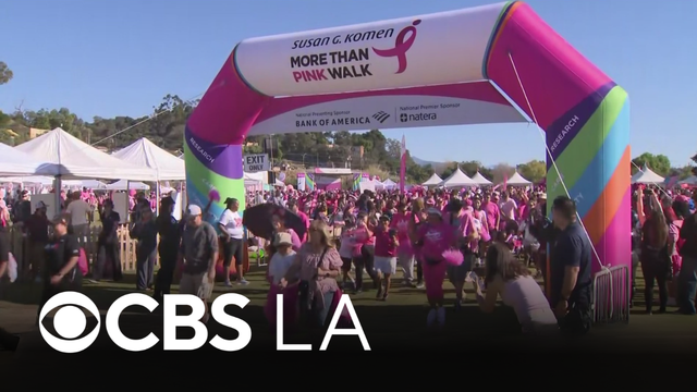 Hundreds wear pink, walk for Susan G. Komen More Than Pink Walk in Chinatown