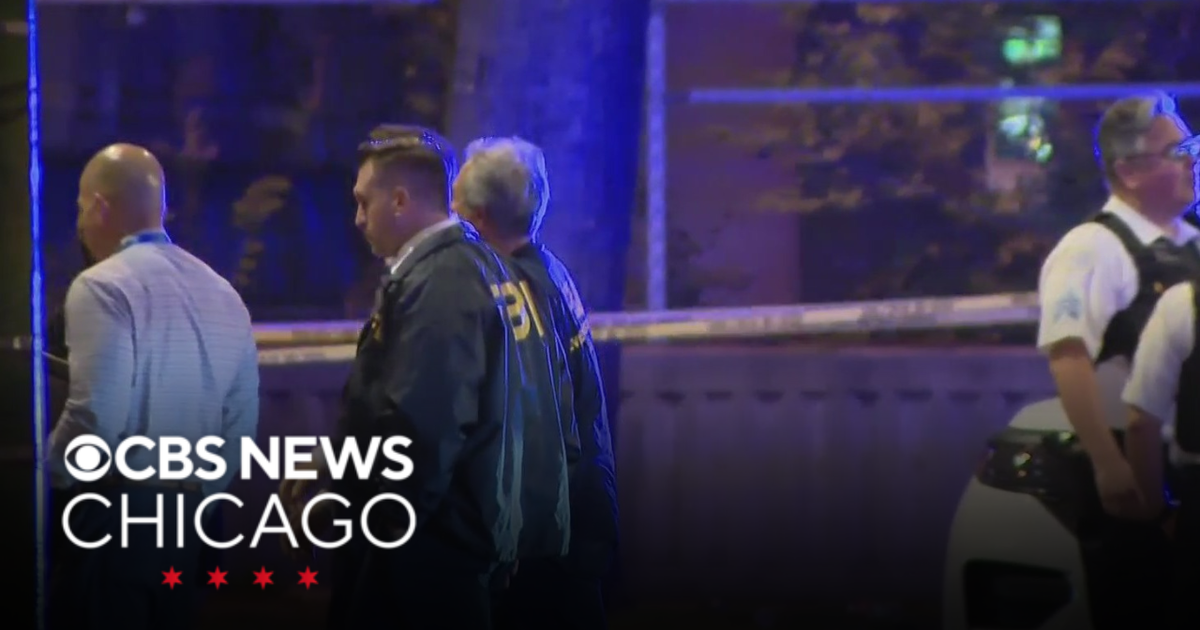 Investigation underway into shooting involving FBI agent in Pilsen ...