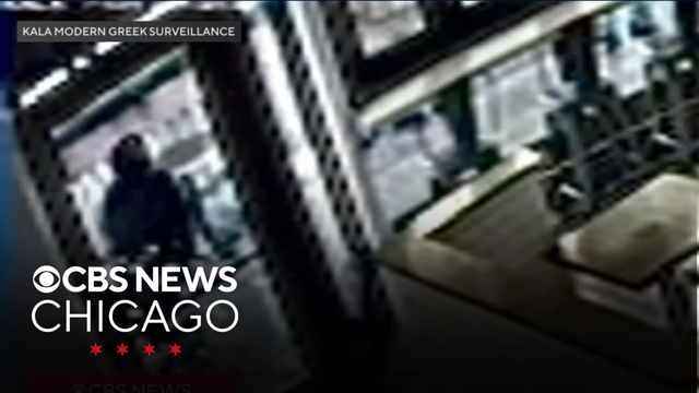 Vandals caught on surveillance after at least 13 businesses damaged in Lincoln Park