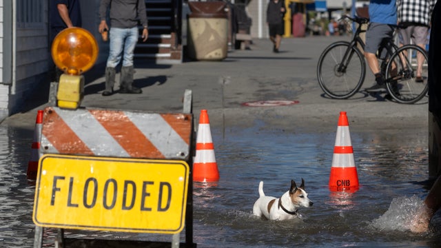 Newport Beach sees flooding from morning high tide 