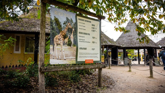 NETHERLANDS-ANIMAL-ZOO-ACCIDENT 