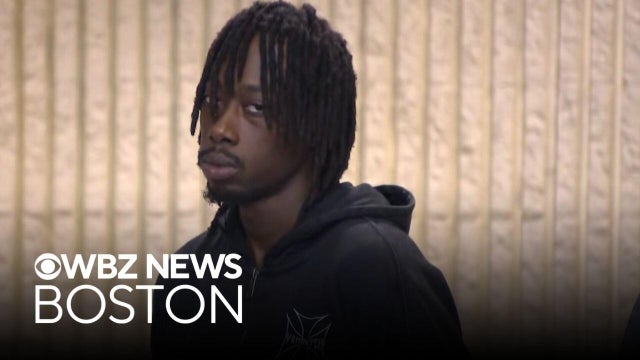 Flock cameras lead to arrest of man who allegedly stole car with young girl inside