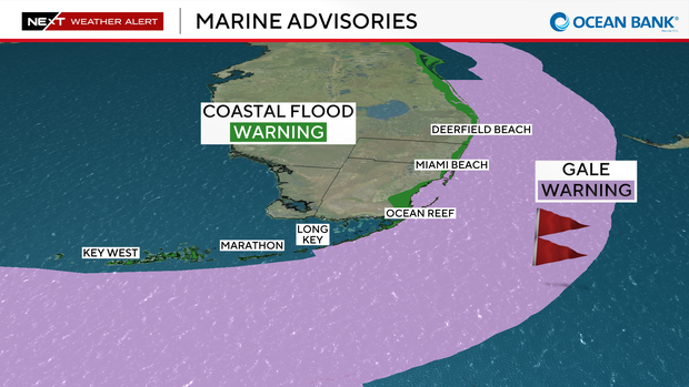 tropical-marine-hazards.png