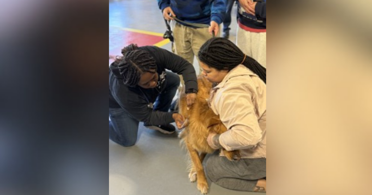 As rabies cases climb in Harford County, Humane Society vaccinates 360 pets