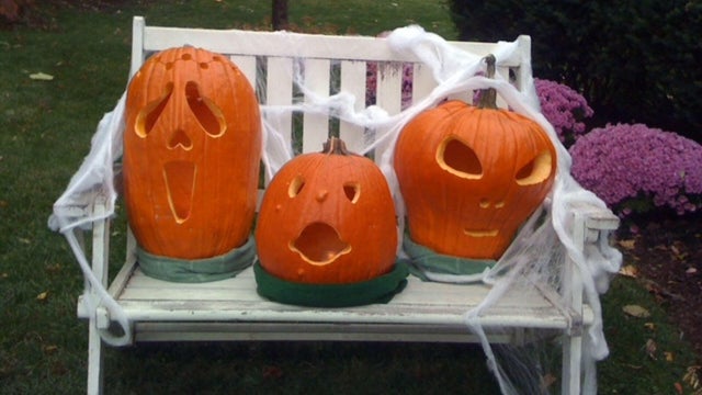 pumpkin-tammie.jpg 