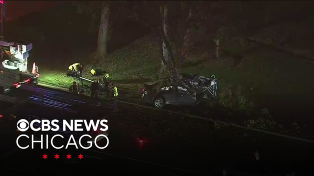 Driver identified in deadly Palatine crash