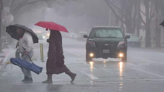 People walking in Rain 