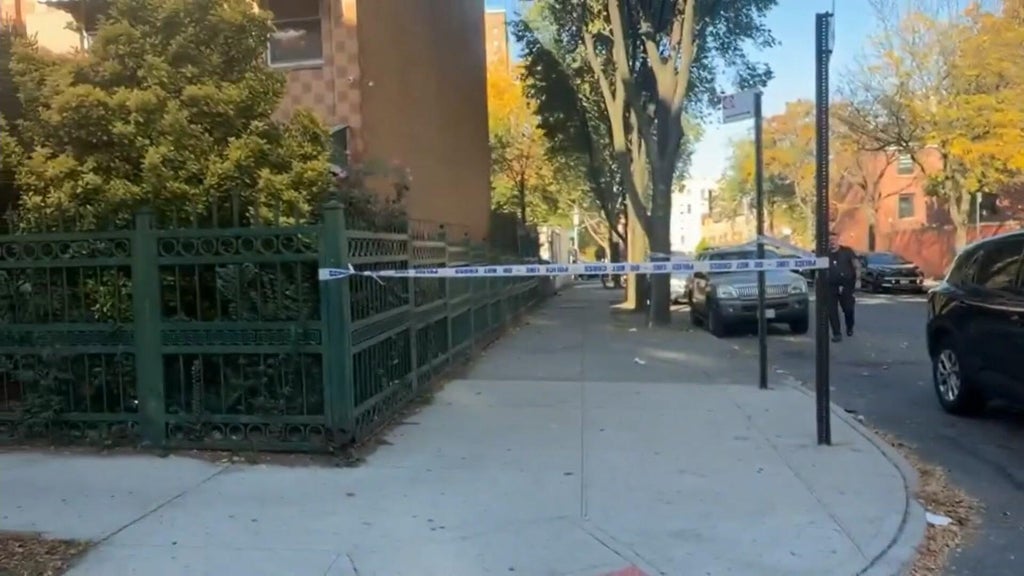 15-year-old fatally shot while walking near Bronx school as police look for teen suspects
