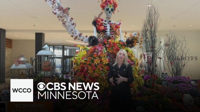 How Bachman&rsquo;s helps families celebrate Dia de los Muertos with flowers