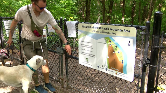 10p-vo-tease-1-b-dog-park-wccobk9w-00-00-2729.jpg 