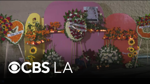 Hundreds gather downtown Los Angeles to honor Dolores Huerta's legacy