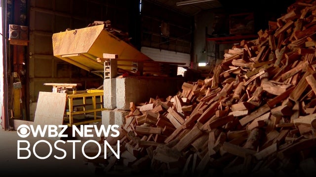 Turning to firewood this winter to lower heating costs? Here's what an expert suggests.