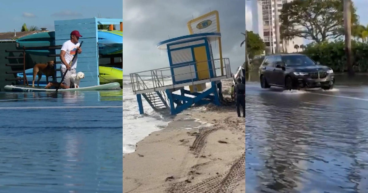 Watch: Footage of king tides seeping into neighborhoods, businesses on both coasts