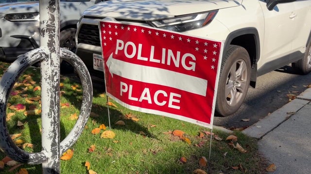 Polling Place sign 
