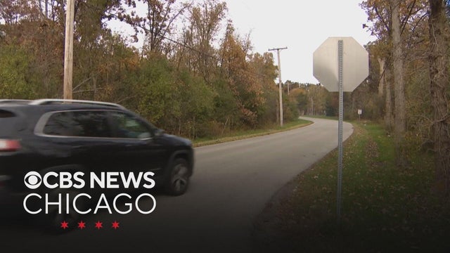 Pets and Vets USA ups reward for leads into who killed 6 pit bulls in Crete Township