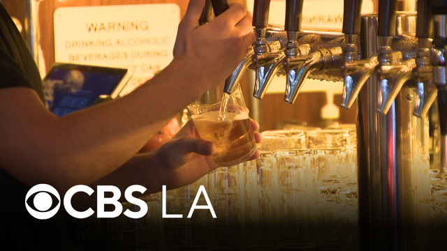 City Council studying possible entertainment zone in downtown LA and Hollywood