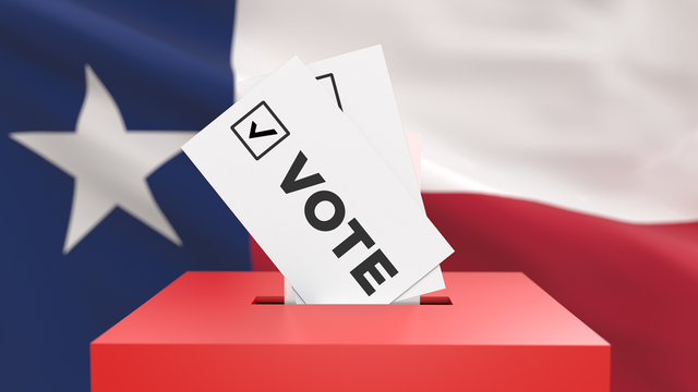 Who is turning up for early voting and what does that tell us about Texas Democrats and Republicans