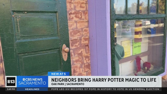 Oak Park neighbors bringing the magic of Harry Potter to life in their community
