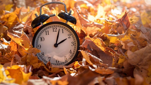 Tips for adjusting as clocks fall back
