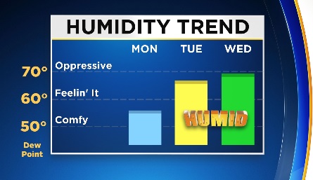 Morning Humidity Trend