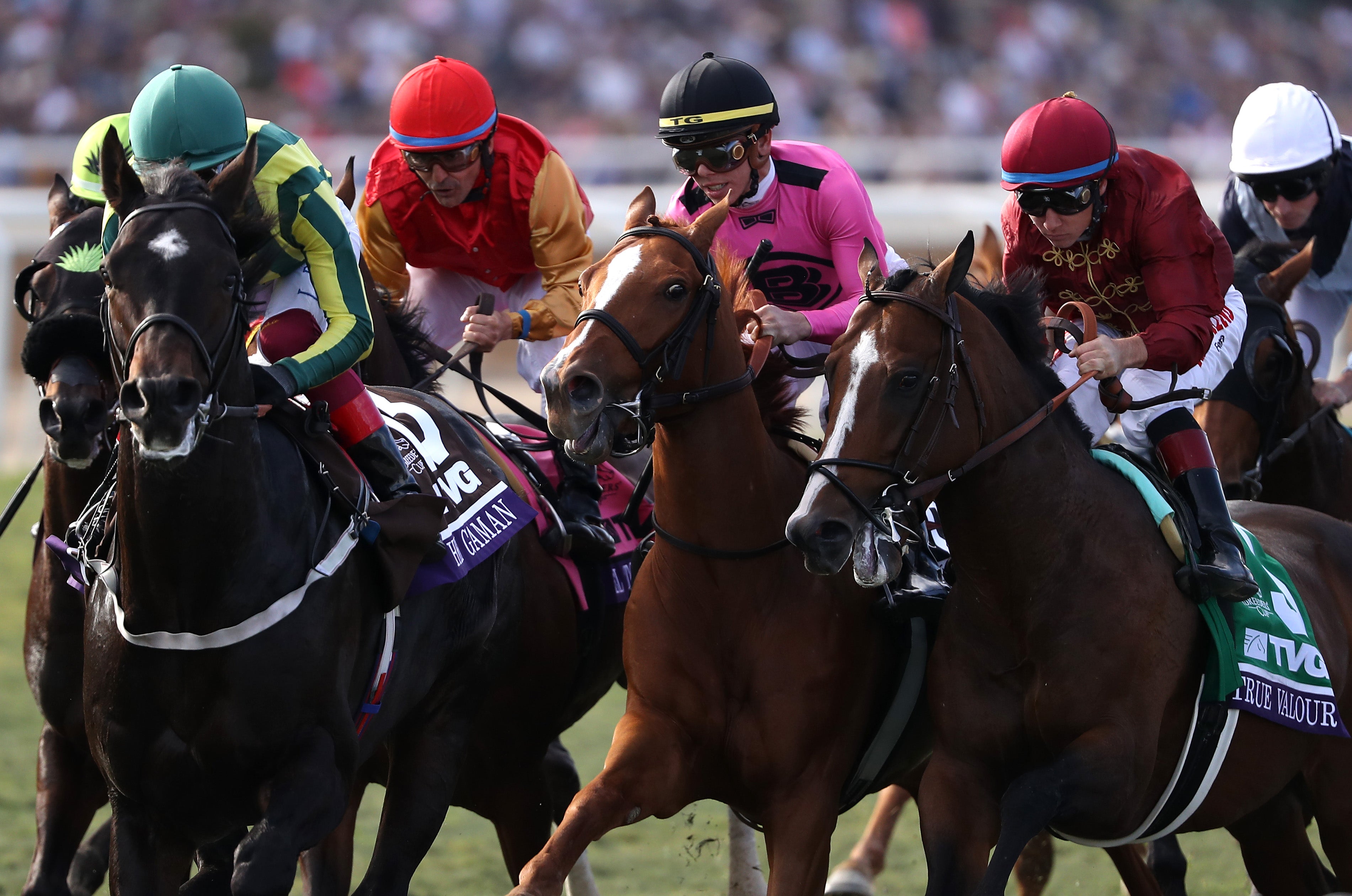 Скачки каберхан. Скачки. Скачки каберхан. Конные скачки в дубае. Скачки dubai world cup carnival 2022.