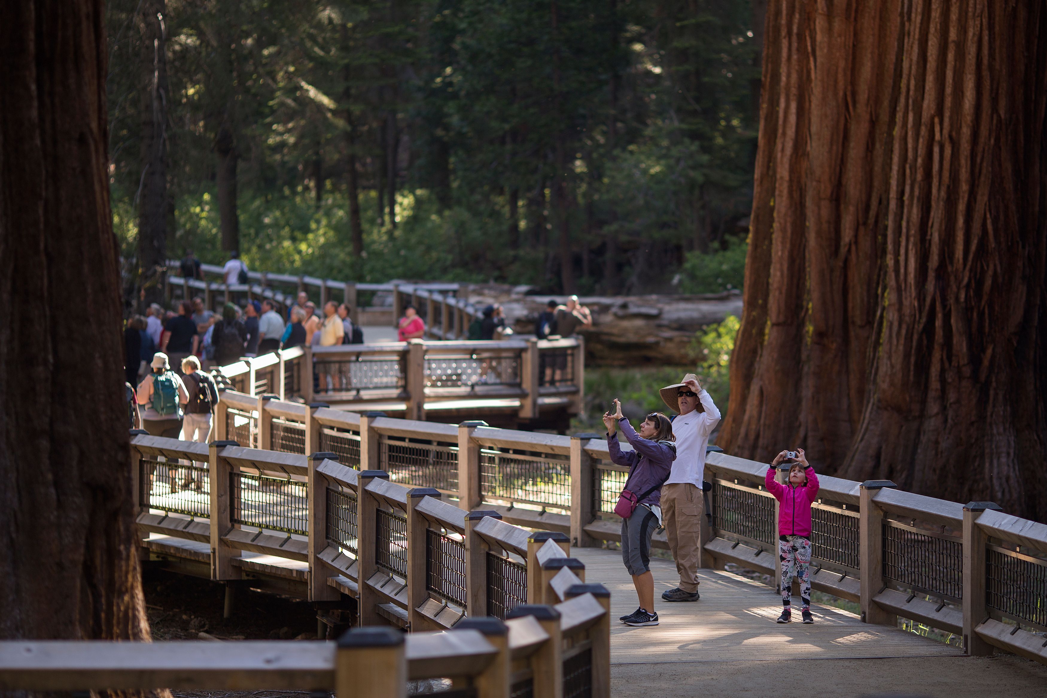 Yosemite To Reopen Thursday But Visitors Must Make Online Reservation