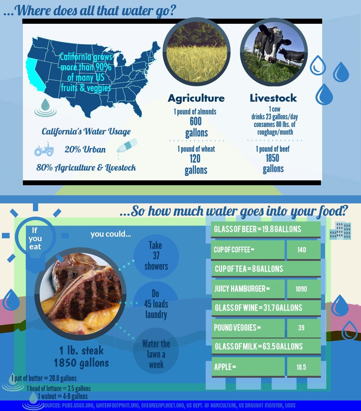 Water Consumption chart e