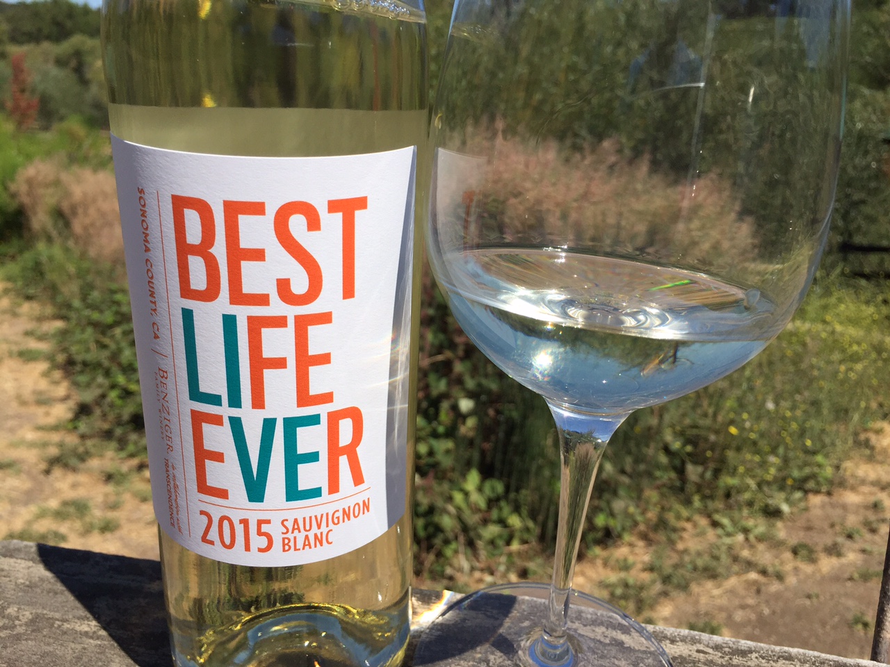 2015 Sauvignon Blanc Best Life Ever from Benziger Family Winery (credit: Foodie Chap/Liam Mayclem)