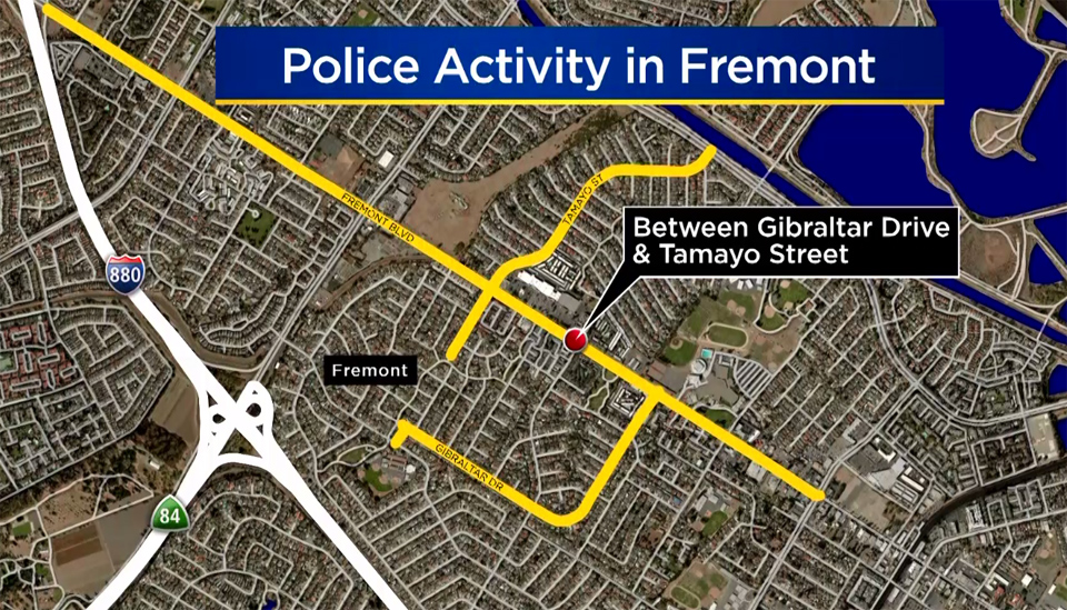 Map: Police Activity in Fremont