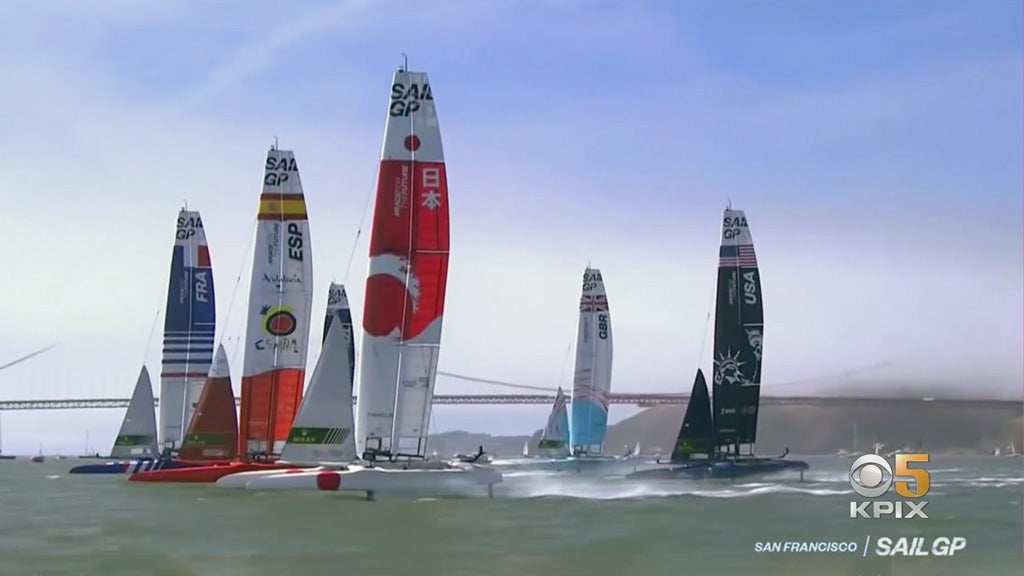 Sail GP Racers