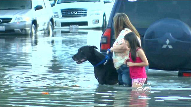 A family walks their Great Dane down a flooded street in southwest suburban Burbank on Friday. (Credit Susanna Song/CBS)