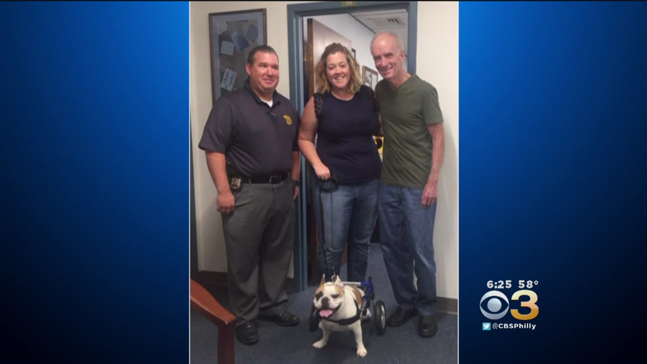 Upper Darby Police Department Introduces Honorary K-9