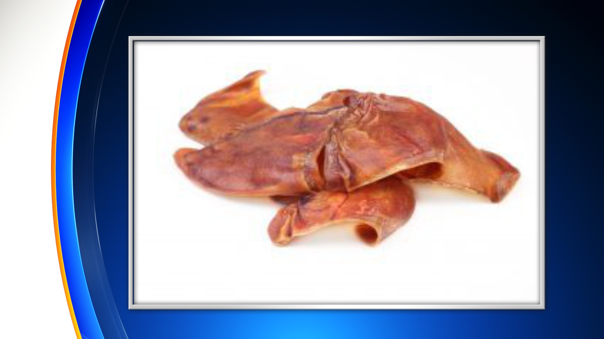 New Salmonella Outbreak Could Be Caused By Pig Ear Dog Treats, CDC Says