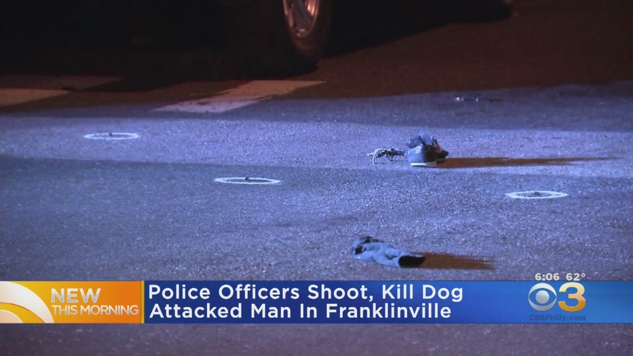 Police Officers Shoot Dog After Man Attacked In Franklinville