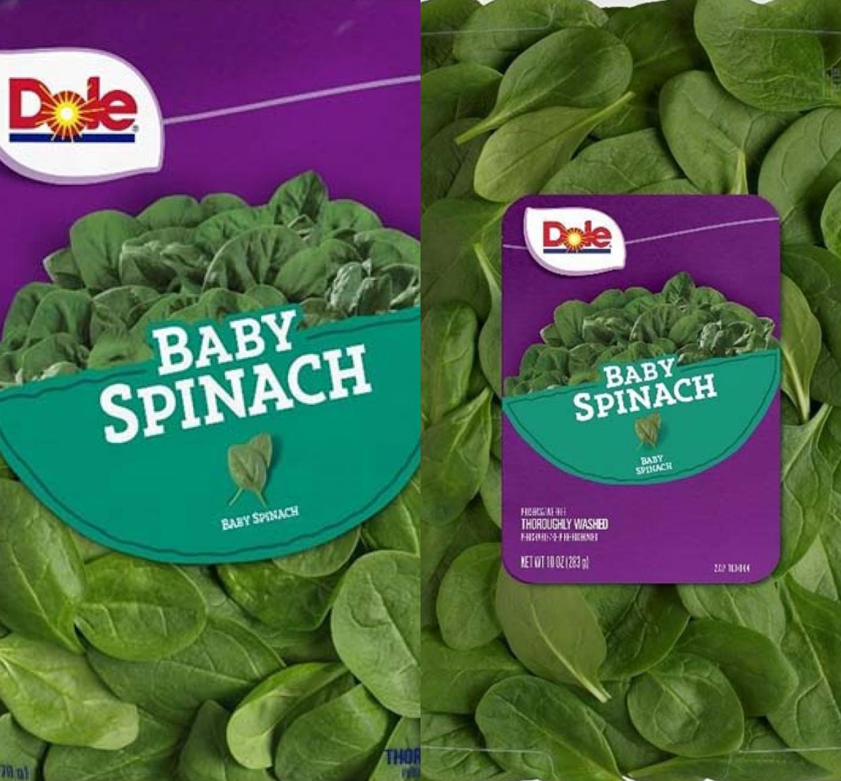 Dole Recalls Baby Spinach Over Salmonella Concerns