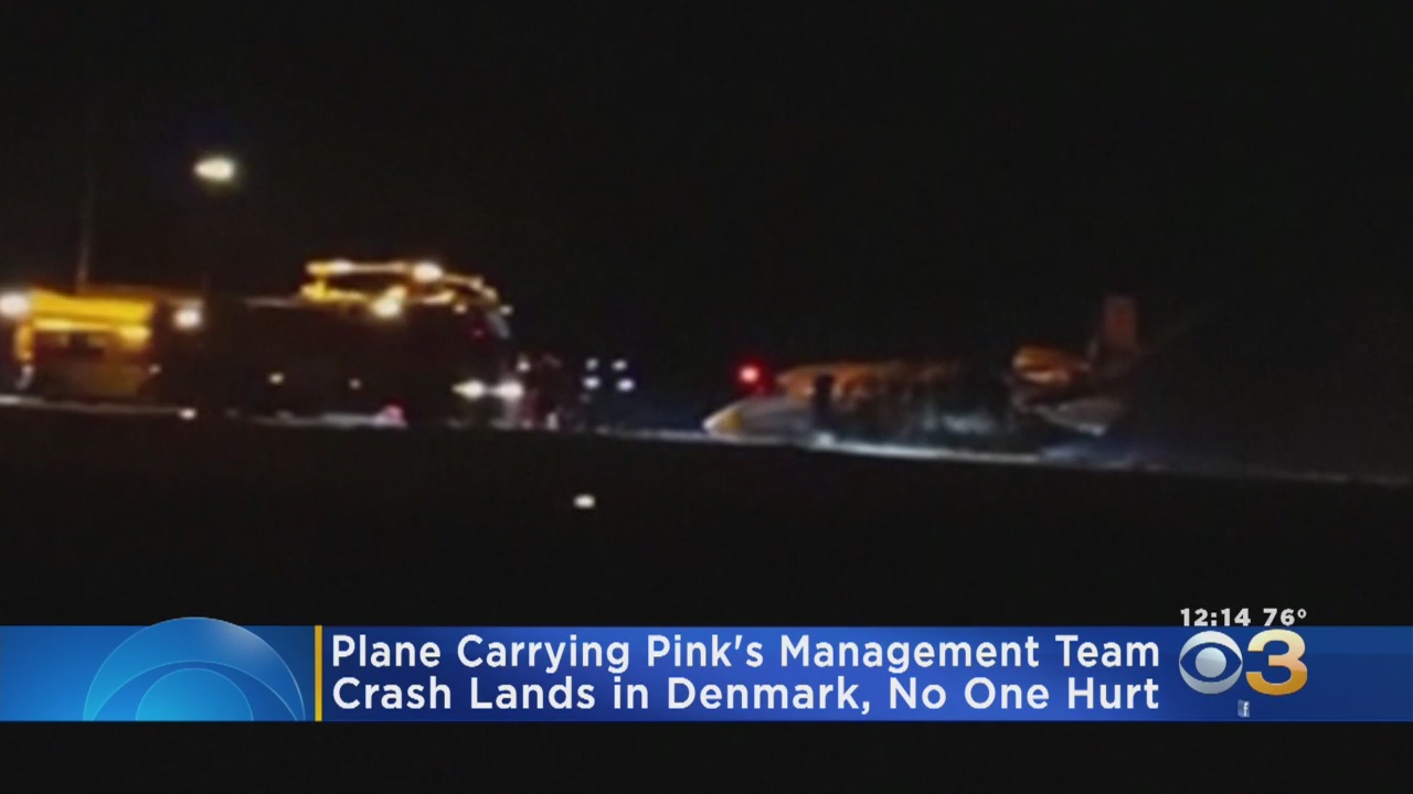 Plane Carrying Pink's Management Team Bursts Into Flames After Crash Landing In Denmark