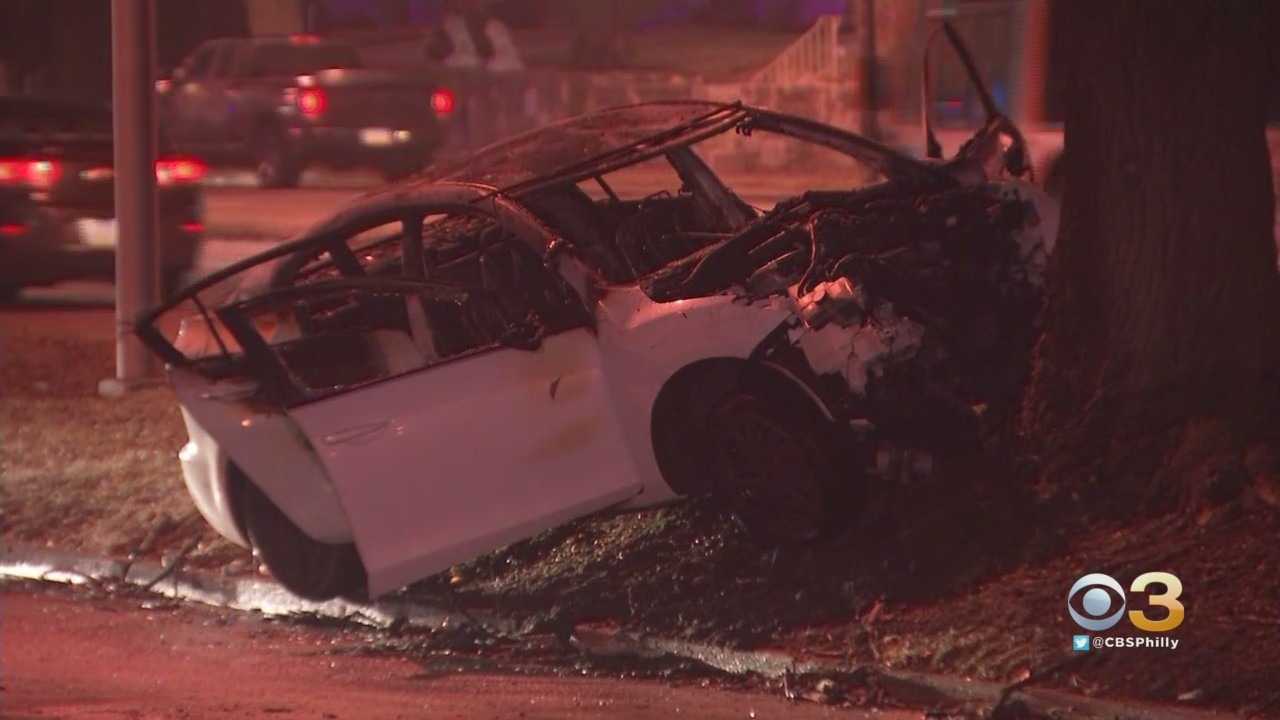 Woman Killed After Car Crashes Into Tree, Bursts Into Flames On Roosevelt Boulevard