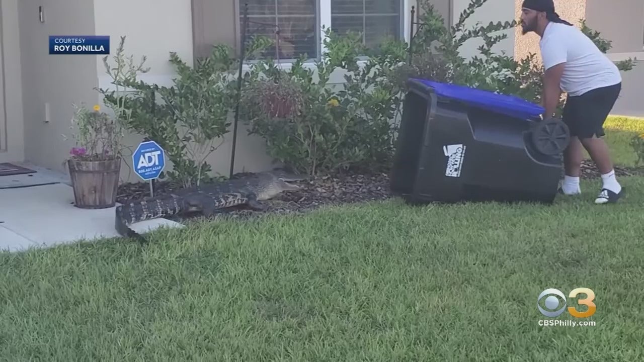 Philadelphia Eagles Trash Can