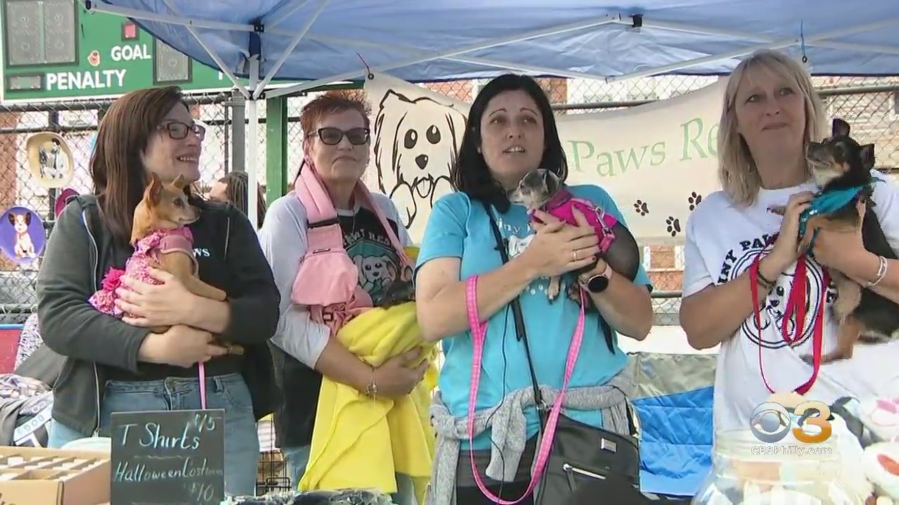 Mums And Mutts Holds Fall Festival In South Philadephia