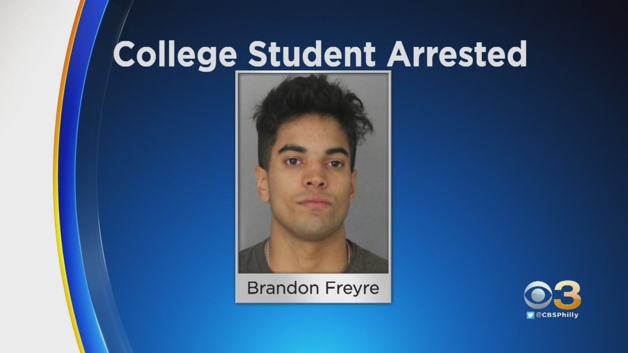 brandon freyre assault mugshot