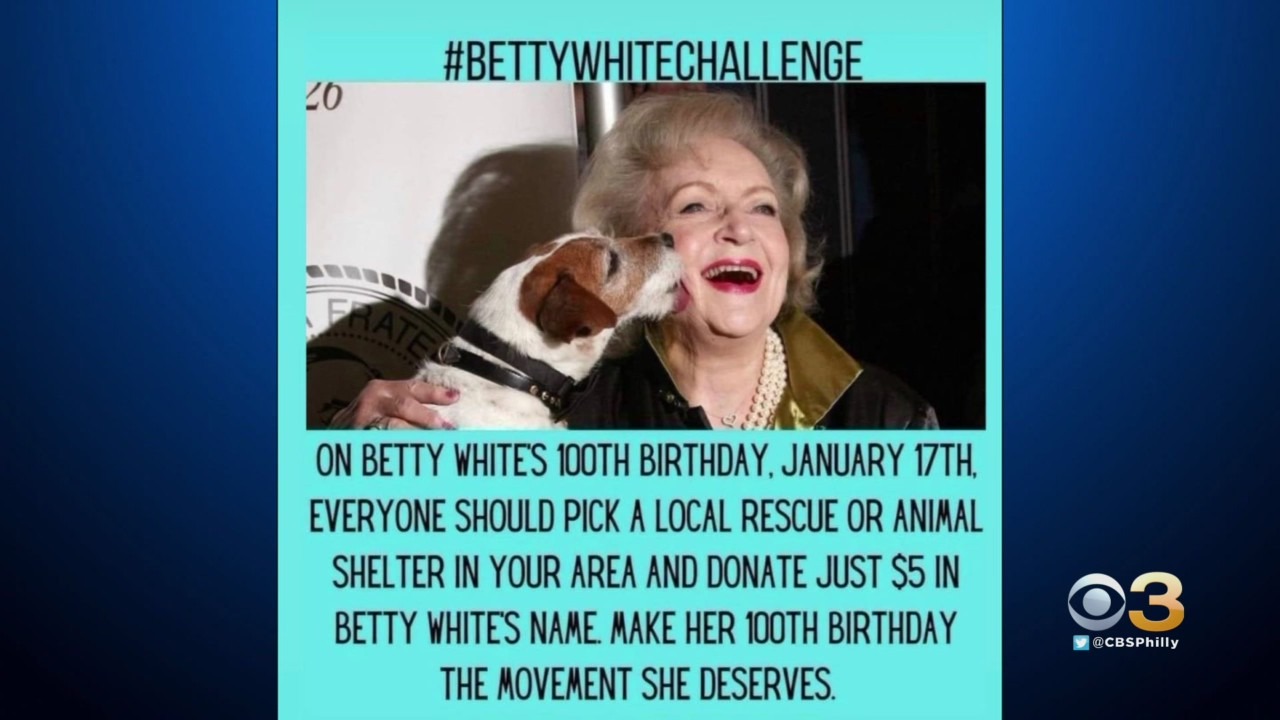 Philadelphia Animal Shelters, At Or Near Capacity, Hope Betty White  Challenge Leads To Forever Homes - CBS Philadelphia