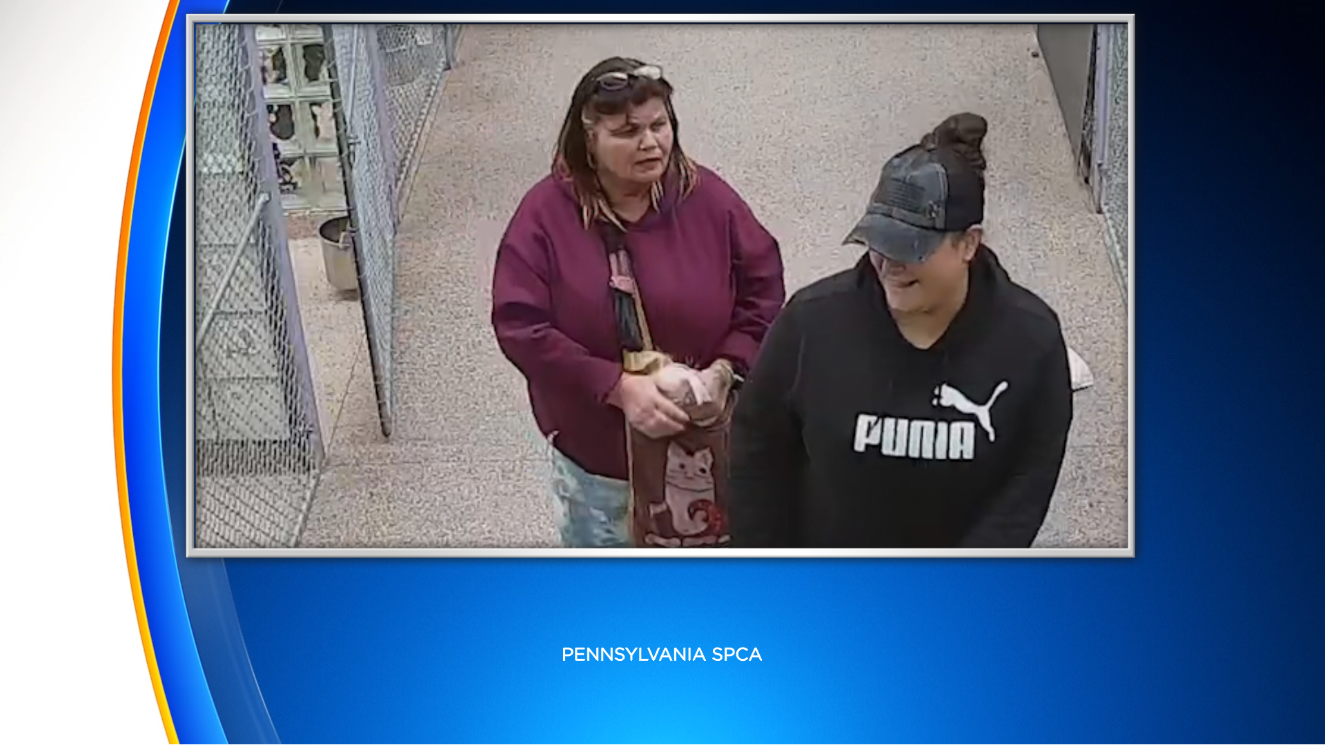 Pennsylvania SPCA Searching For 2 Women Accused Of Stealing Puppy From Philadelphia Headquarters
