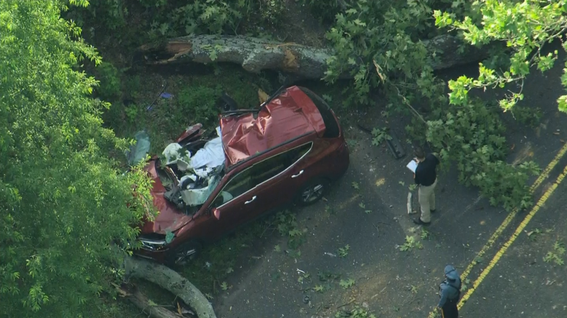 1 Person Killed, Another Injured After Part Of Tree Falls On Moving Car In Hainesport