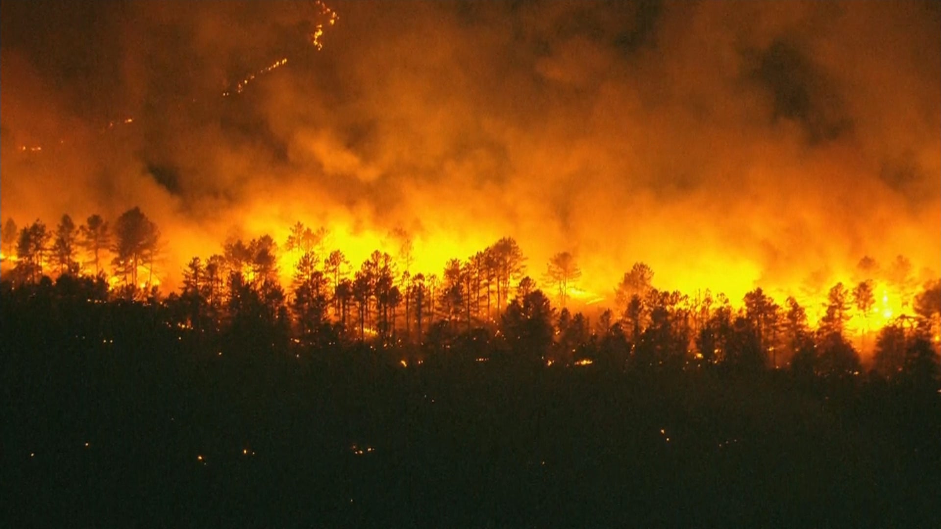 Wildfire Breaks Out In Wharton State Forest In Washington Township, New Jersey